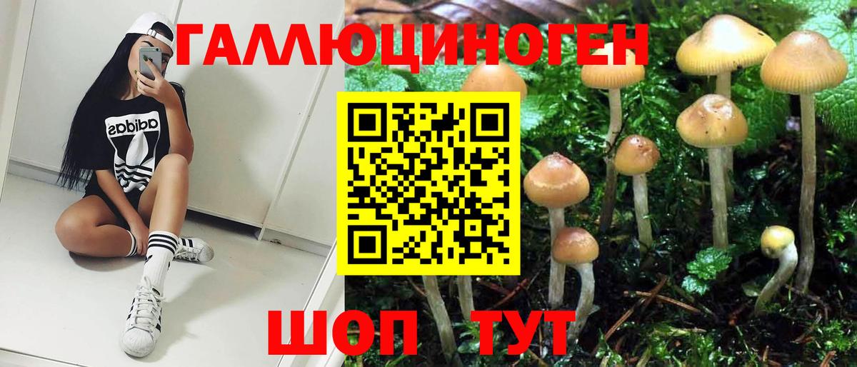 Псилоцибиновые грибы Psilocybine cubensis  Псилоцибиновые грибы Magic Shrooms  Борисоглебск  Вход с VPN 